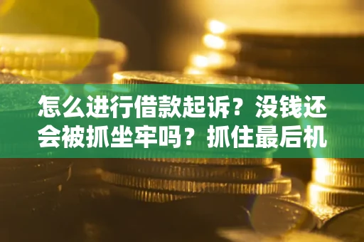 北京怎么进行借款起诉？没钱还会被抓坐牢吗？抓住最后机会！