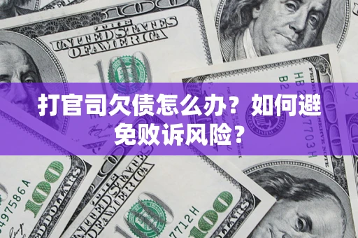 北京打官司欠债怎么办？如何避免败诉风险？