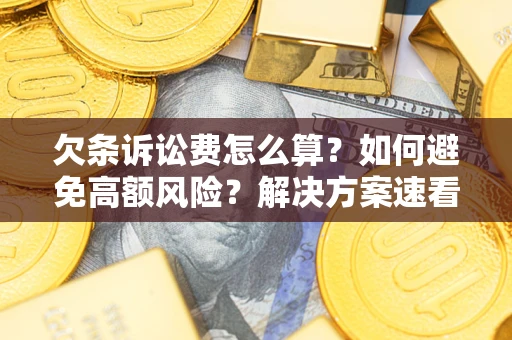 北京欠条诉讼费怎么算？如何避免高额风险？解决方案速看！