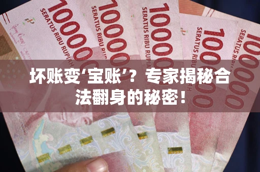 北京坏账变‘宝账’？专家揭秘合法翻身的秘密！