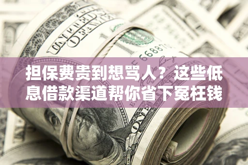 北京担保费贵到想骂人？这些低息借款渠道帮你省下冤枉钱
