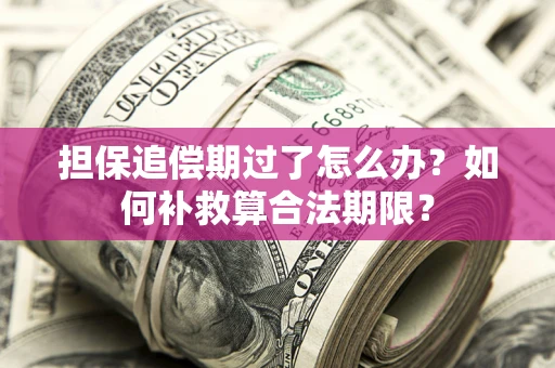 北京担保追偿期过了怎么办？如何补救算合法期限？