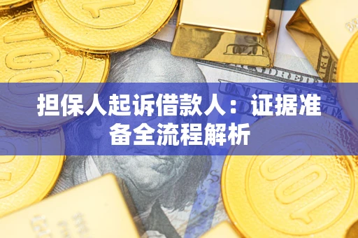 北京担保人起诉借款人：证据准备全流程解析