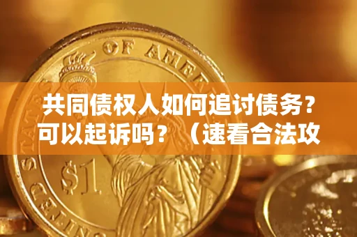 北京共同债权人如何追讨债务？可以起诉吗？（速看合法攻略）
