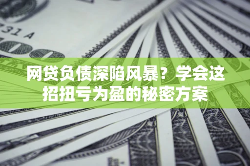 北京网贷负债深陷风暴？学会这招扭亏为盈的秘密方案