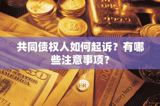 北京共同债权人如何起诉？有哪些注意事项？